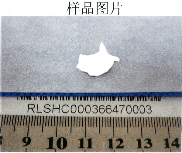 1770204762221456.png QQ_1770193184426.png